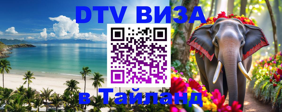 Сколько стоит DTV виза — актуальные цены, оформление даже без документов - Стерлитамак  21.11.2025 